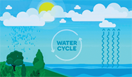 Water Cycle